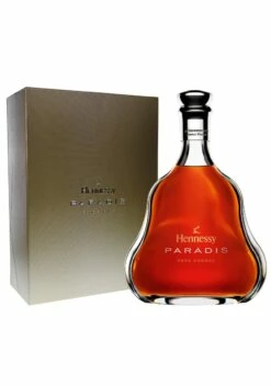 Hennessy Paradis