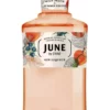JUNE By G'vine -Kerry Wines Magasin june by gvine