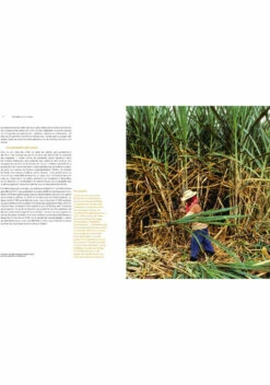 RHUM Fabien Humbert -Kerry Wines Magasin livre rhum fabien humbert 2