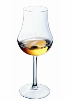 Verre De Dégustation Ambient (unitaire)